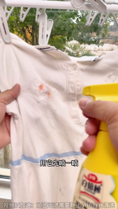 INWEJIA 白倍极·因唯家 Stain Remover Laundry Pre-Wash 300ML