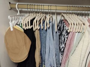 EUNICE 10pcs Flocking Trousers Rack Household Trousers Hanger Organizer Special Very Thin Traceless Space Saving Non-Slip Storage Artifact 植绒裤架