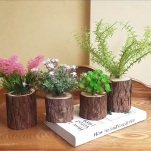 Chậu Cây Mini Gốc Cây Trang Trí Bàn Kệ Tủ Trang Trí Tương Làm Quà Tặng Độc Đáo