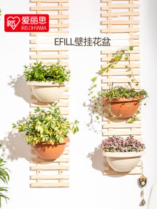 Alice Flower Pot Wall-Mounted Wall Hanging Half Wall European Semicircle Chlorophytum IRIS Plastic Wall Hanging