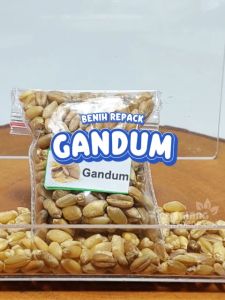 Benih Gandum Unggulan berkualitas biji tanaman kering utuh hydroponik hidroponik sayuran sayur
