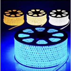 【COD&Ready】Rohstar 220V RGB 5050 LED Strip 1M IP65 Set Indoor/Outdoor decorative lights/Waterproof 10mm