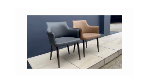 Verra Luxe Armchair / Contemporary Accent Chair - FRM0357