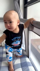 SINGLET SETELAN BAJU ANAK LITTLE SHARK DO DO DO 2.2 BIG SALE