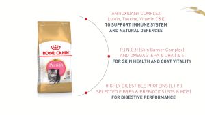 ROYAL CANIN British Shorthair Kitten 🐶 FREE SHIP🐶 Thức ăn hạt cho mèo anh lông ngắn dưới 1 năm tuổi