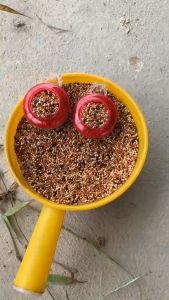 Thức ăn cỏ thái chuyên cho chim cu gáy Vẹt tất cả họ nhà chim cu-chim cực sung sau khi sử dụng Chưa có đánh giá 5 đã bán