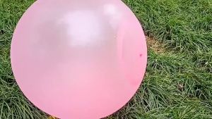 【CHANG】พร้อมส่ง ลูกโป่งน้ำ ลูกโป่งเป่าลม มันใหญ่มาก bubble ball มีความยืดหยุ่นสูง สามารถเติมอากาศและรดน้ํา ลูกโป่ง ลูกโป่งน้ํา - Lazada