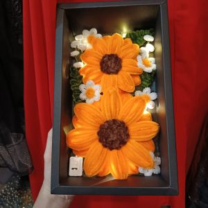 JLs | Fuzzy Flowers in a box gift ideas home decorations with lights