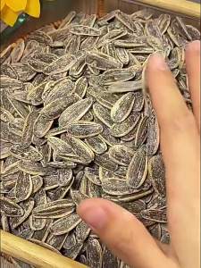 Sea Salt New Batch Large Roasted Snack