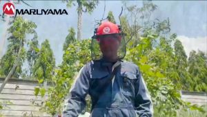 เครื่องตัดหญ้าสะพายหลัง 2 จังหวะ 40.2 ซีซี MARUYAMA รุ่น MBC411U รับประกันสินค้า 6 เดือน By mcmachinetools