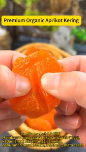 DRIED APRICOT/BUAH APRIKOT KERING PREMIUM ORIGINAL HIGH QUALITY 250G