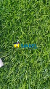 MARIES CAT MINYAK 12 WARNA