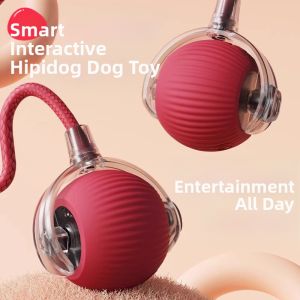 hipidog | Đồ Chơi Nhai Bền Tự Động Lấy Bóng Cho Chó