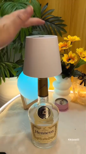 NEW Nordic Modern LED Liquor Bottle Lamp USB Rechargeable