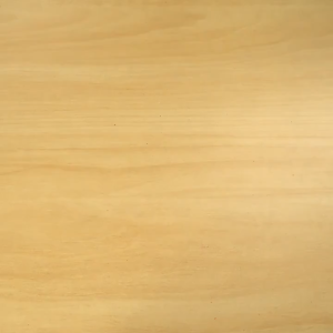 1.mp4
