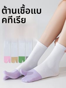 JINGCHI | ถุงเท้าข้อสั้นแบบแบนสำหรับผู้หญิงในช่วงฤดูร้อน ถุงเท้าข้อหกแบบบาง ถุงเท้าข้อหกแบบแบน ถุงเท้าข้อหกแบบสวมข้างเดียว สีขาว