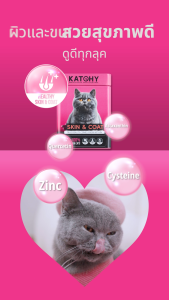 KATCHY แคทชี่ อาหารเสริมโปรตีนแมว | โปรตีนสูง 65% ชนิดผง สูตร Skin&Coat สำหรับแมวทุกวัย