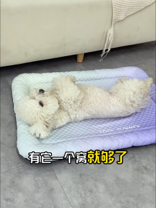 Cooling Pet Bed | Ice Silk Pad + Orthopedic Neck Support | Non-Slip Design for Cats/Dogs