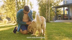 PettoGard Flea & Tick Foam Shampoo for Dogs & Cats 500ml (for pest infestation skin problems suitable for daily use) [MEDIKURIN]