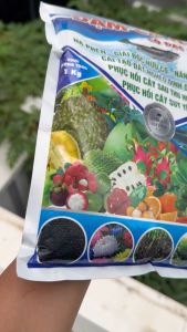 PHÂN BÓN ĐẠM CÓ HỒI VIÊN 1KG MUA 10 GÓI TẶNG 1 GÓI HÀNG CHÍNH HÃNG CAM KẾT CHẤT LƯỢNG