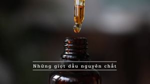 Chai Tinh Dầu Hoa Lài Thơm Phòng TINHDAUSACHANH 10ml Tinh Dầu Hoa Nhài Xông Hơi Giảm Stress Giúp Ngủ Ngon