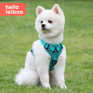 HELLOLEIBOO | Backless Harness and Leash for Small and Medium Dogs