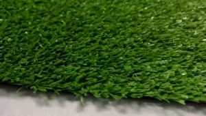 SG seller. Quality Artificial grass carpet turf - Ecogreen 10mm (size: 1m x 2m) Best Seller in SG / Gardening fake Grass Landscaping Turf