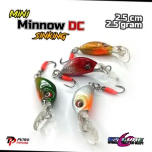 Lure Minnow DC GT Lure Sinking Bahan Resin Keras