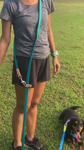 Hands-Free Waterproof PVC Coated Dog Leash (Emerald Green & Tan)