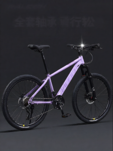 Raleigh | Xe Đạp Núi Hấp thụ Sốc và Đổi Số