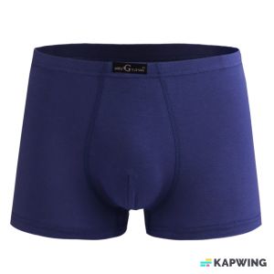 Celana Dalam Pria 2 pcs Underwear Boxer Ukuran (57-85kg) 5029 5030 5031 5045