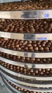 500GRAM NHÂN HẠT MẮC CA MINH PHONG- SẢN PHẨM ĐẠT OCOP 3 SAO (LOẠI BỂ ĐÔI)