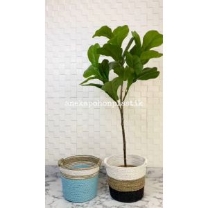 Pohon Imitasi Tanaman Artificial Ketapang X3 T120 Pot Dasar Cover Anyaman Seagrass Handle Dekorasi Ruang Tamu