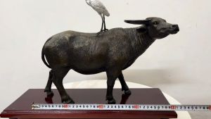 Tượng trâu đứng bằng đồng cò đậu trên lưng mang đậm tính đồng quê dài 40cm cao 25cm nặng 6kg