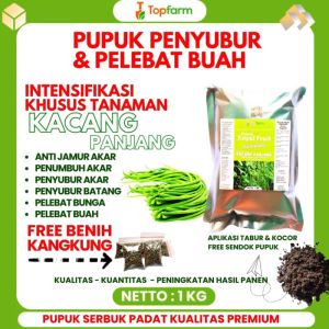 Pupuk Khusus Kacang Panjang: Tips dan Panduan