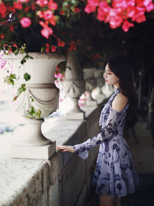 Romantic French Style Smoked Purple Rose Floral Print Halter Neck Shoulder Bared Dress by LavieenRose Spring Collection