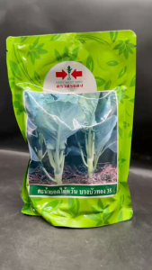 ศรแดง คะน้า ไต้หวัน บางบัวทอง หมดอายุ 30/03/2569 ขนาด 500 กรัม คะน้ายอด ลอตใหม่ ลำต้นใหญ่ ใบหนา ก้านใบชูขึ้นไม่หักง่าย ปลูกได้ทุกฤดูกาล npkplant