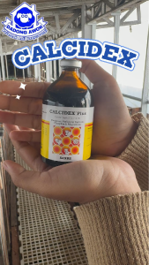 CALCIDEX PLUS 100 ml Obat lumpuh (Broyongen) Sapi Kambing DOMBA anjing kekurangan Mineral Kalsium
