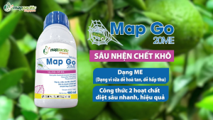 (Mappacific Singapore) Map Go 20ME Chai (480ML) - THUỐC DIỆT SÂU NHỆN CHẾT KHÔ - Hàng Hiệu Chính Hãng