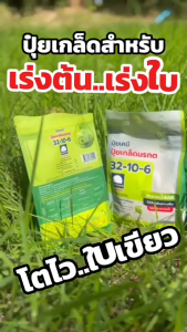 ปุ๋ยเกล็ดมรกต 32-10-6 เกรดพรีเมี่ยม สูตรต้นตั้งตัวไวเเขียวไว ฟื้นฟูต้น เร่งต้นเร่งใบ โตไวใบเขียว 1 กิโลกรัม
