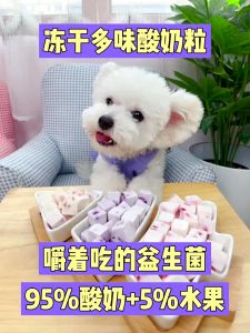 sữa chua trái cây 100gr sấy khô tốt cho tiêu hoá dành cho chó mèo - T3 PETS SHOP