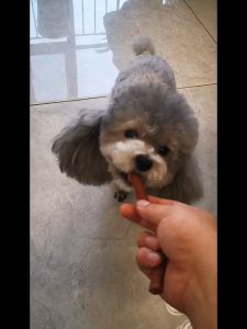 ขนมสุนัขที่มีโปรตีนสูงและไขมันต่ําที่ทําจากเนื้อวัวเพื่อปกป้องสุขภาพฟันของสุนัข ขนาด 500 กรัม เหมาะสําหรับสุนัข 