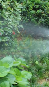 Garden Spray Rubber Handle Heavy Duty Quick Release Water Hose Nozzle Sprayer
