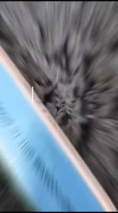 Alat Kikir Amplas Kuku 7 Step Manicure Pedicure Nail Buffer