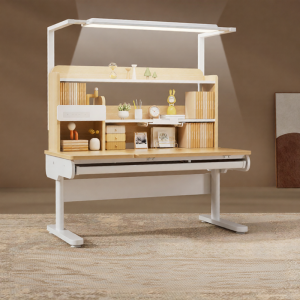 ZHIXUEKU | Adjustable Learning Desk with Eye Protection Lamp