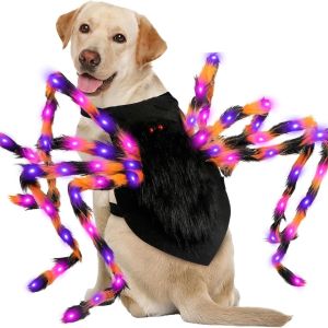 Halloween NPC Glowing Spider Bat Pet Costume Small Cat Small Dog Transformation Clothing Cosplay Props Funny Dress up