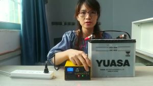 Charger Aki Mobil & Motor Otomatis Cas Accu Kering & Basah 250W