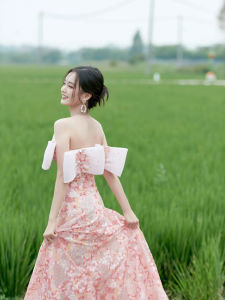 Sophie Fairy Pink Sequin Light Luxury High Waist Long Dress Wedding Ceremony Engagement Party Hostess Dress Elegant Gown