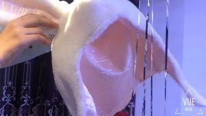 MIMI SHOP หมวกหูกระต่าย กระต่ายหูยาว กระต่ายน่ารัก 🎀 แฟชั่น หูหักได้ พร้อมจัดส่ง M-539