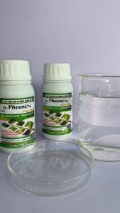 DR.PHOENIX thuốc gốc đồng trị nấm phổ rộng nấm hồng rong rêu công nghệ mới nhất siêu đậm đặc.